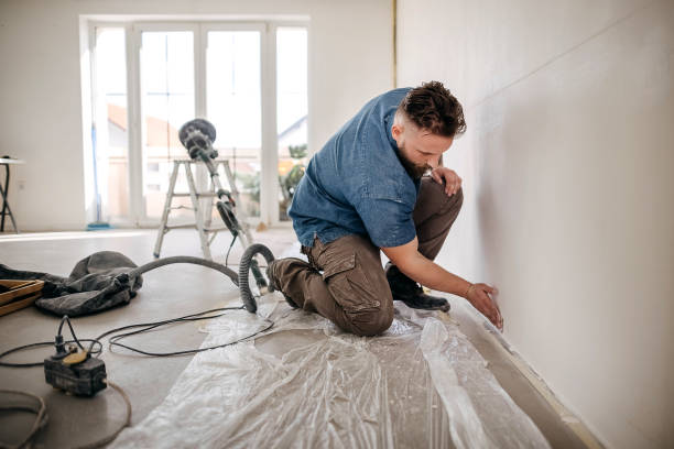 Best Drywall Sanding and Smoothing  in South Bound Brook, NJ